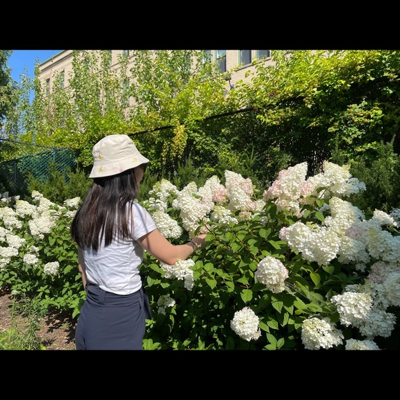 Meet your Posher, Miranda - Picture 1 of 1